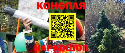 амф Обь