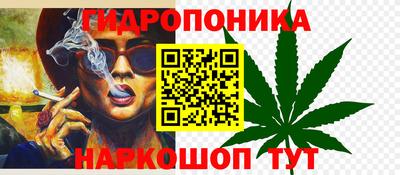 амф Обь