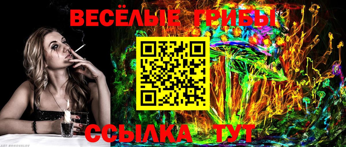 Галлюциногенные грибы GOLDEN TEACHER Хасавюрт